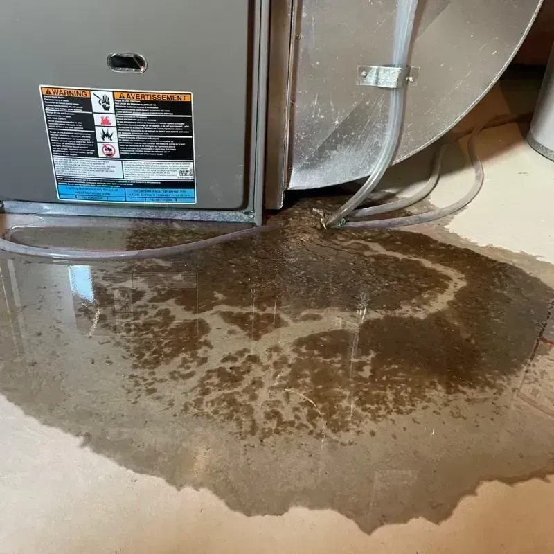 Appliance Leak Cleanup in Divide County, ND